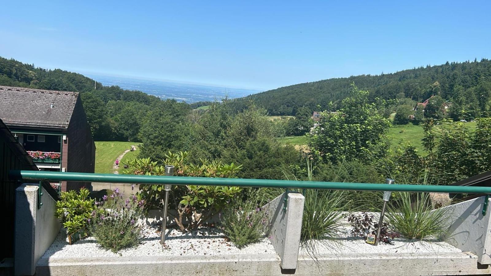 Ferienwohnung Talblick Sasbachwalden Dış mekan fotoğraf